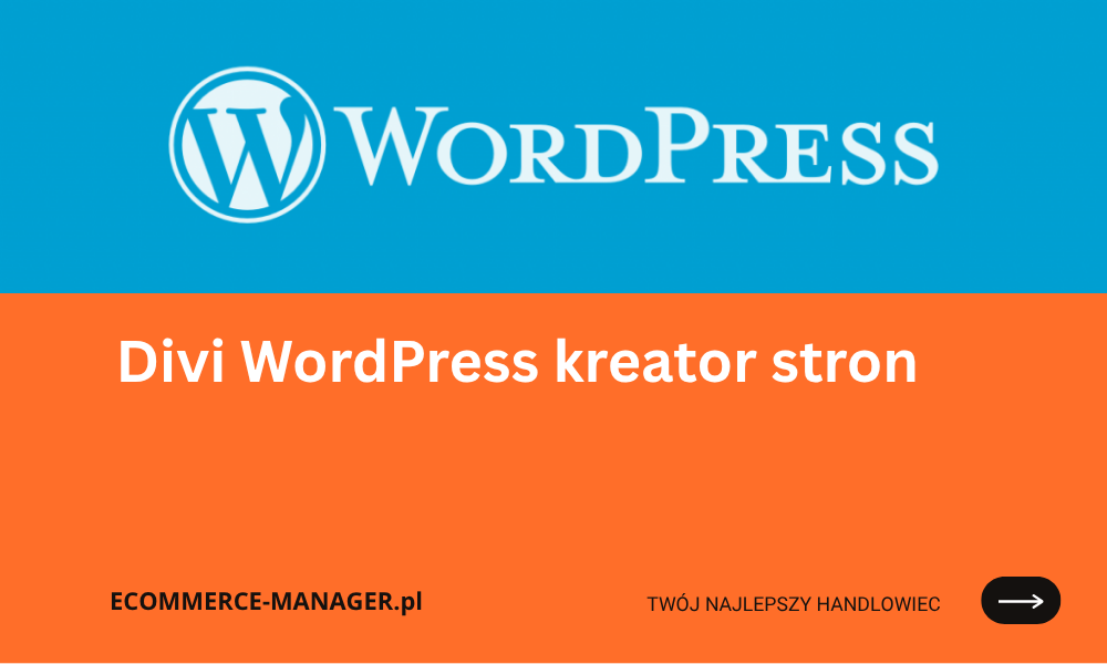 Divi WordPress kreator stron SEO i zaawansowane funkcje