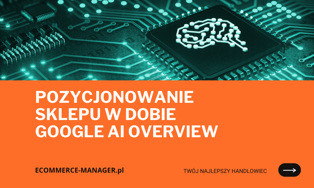 POZYCJONOWANIE SKLEPU W DOBIE GOOGLE AI OVERVIEW