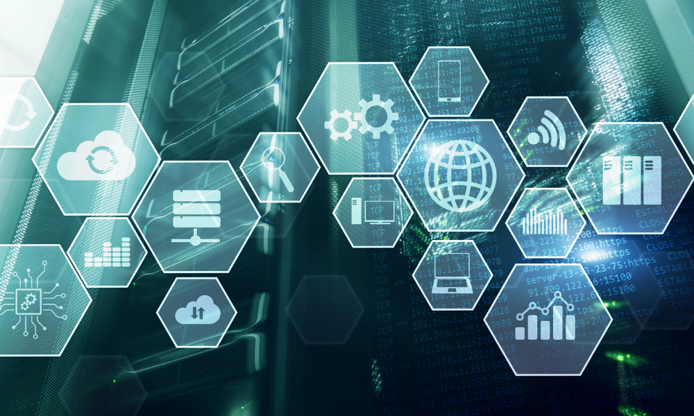 Hosting stron www wybór rodzajów wpływ na SEO i działanie strony