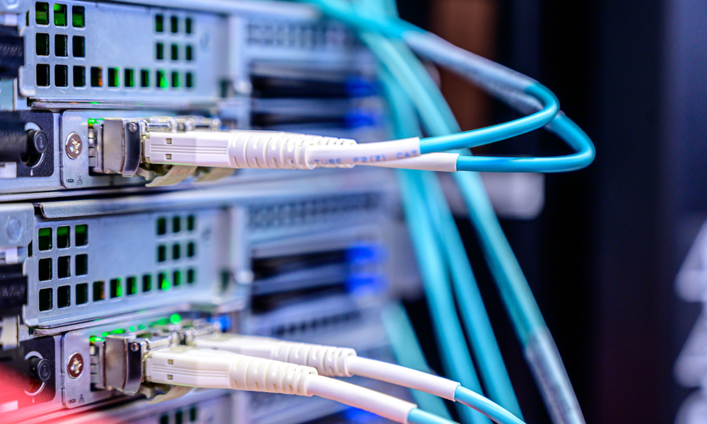 Jak wybrać domenę w Home.pl i zbudować silną markę online