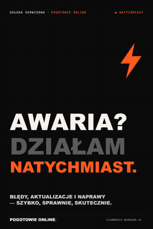 USŁUGA SERWISOWA - POGOTOWIE ONLINE